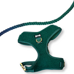 Jewel Be Alright Ombre Adjustable Rope Lead