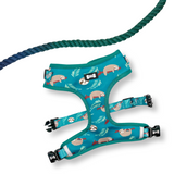Jewel Be Alright Ombre Adjustable Rope Lead