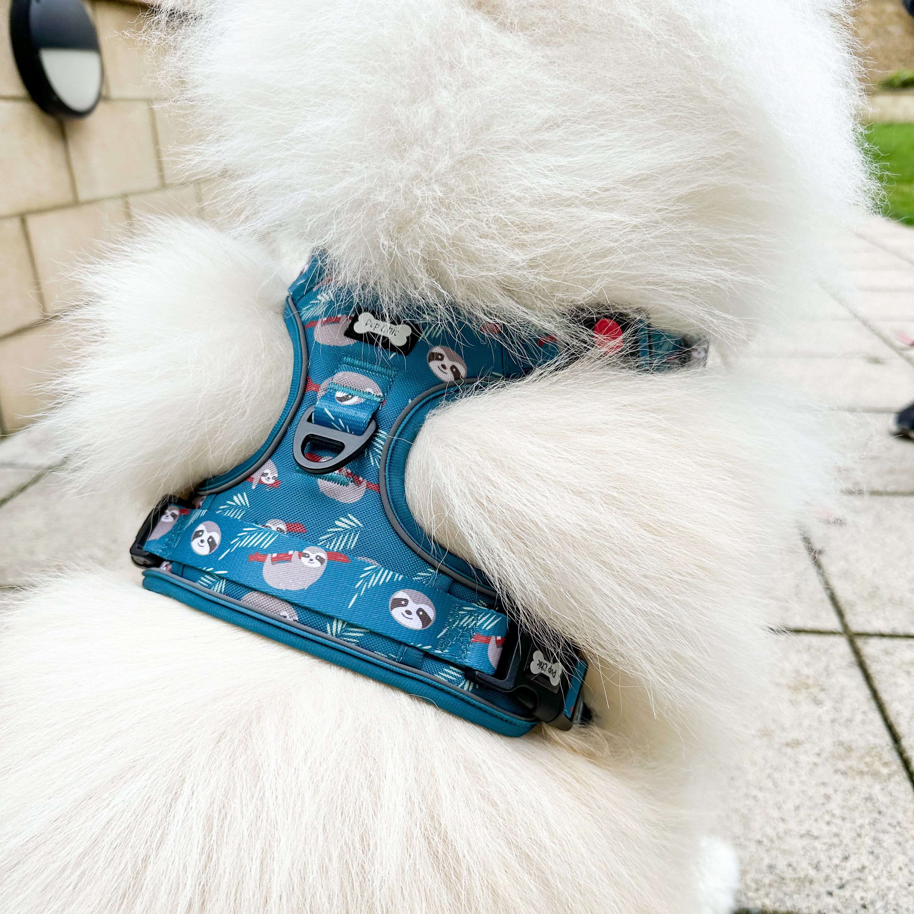 Lazy Sloth Tuff Stuff dog harness - three clip teal dog harness with handle - Pup Chic Boutique