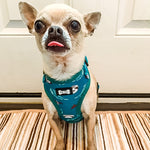 lazy sloth adjustable harness