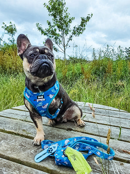 Lazy Sloth Adjustable Dog Harness - teal dog harness - Pup Chic Boutique