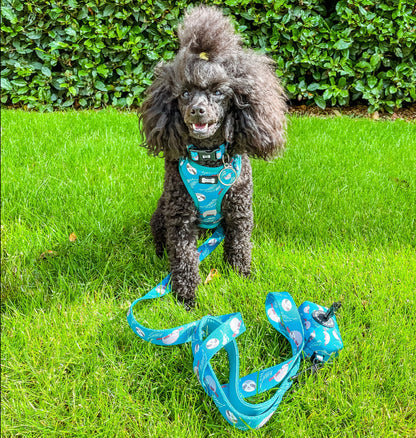 Lazy Sloth Adjustable Dog Harness - teal dog harness - Pup Chic Boutique