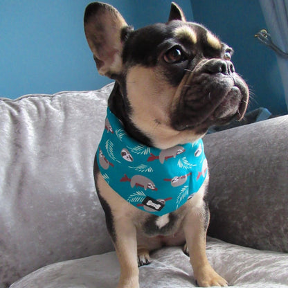 Lazy Sloth reversible bandana - Pup Chic Boutique