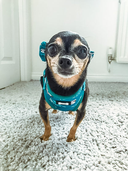 Lazy Sloth Adjustable Dog Harness - teal dog harness - Pup Chic Boutique