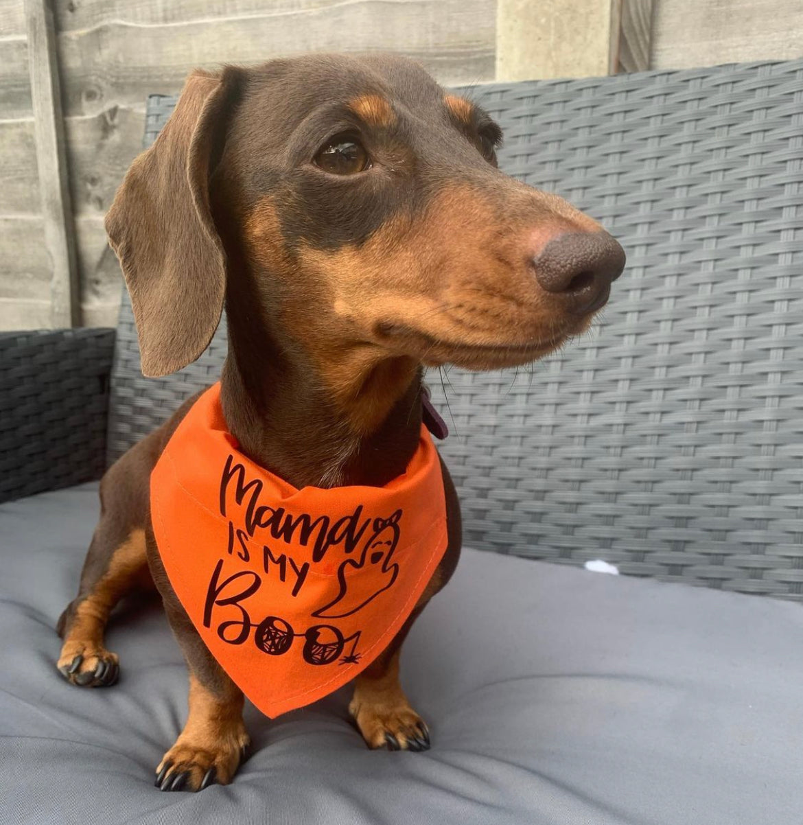 Mama is my boo - Halloween bandana - Pup Chic Boutique