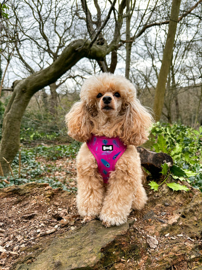 Peacock Power Adjustable Dog Harness - hot pink peacock feather dog harness - Pup Chic Boutique