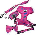 Peacock Power Lead - hot pink peacock feather dog leash