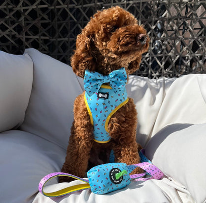 Blue Sprinkles For Days Bow Tie - Pup Chic Boutique