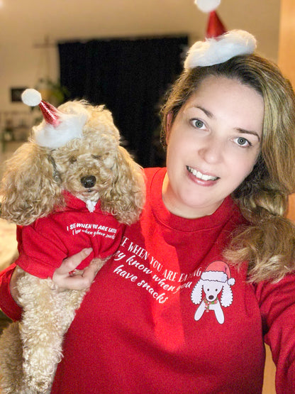 They See When You Are Eating Christmas hoodie - Pup Chic Boutique