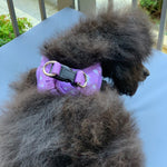 my first harness - daydreams and unicorns puppy harness