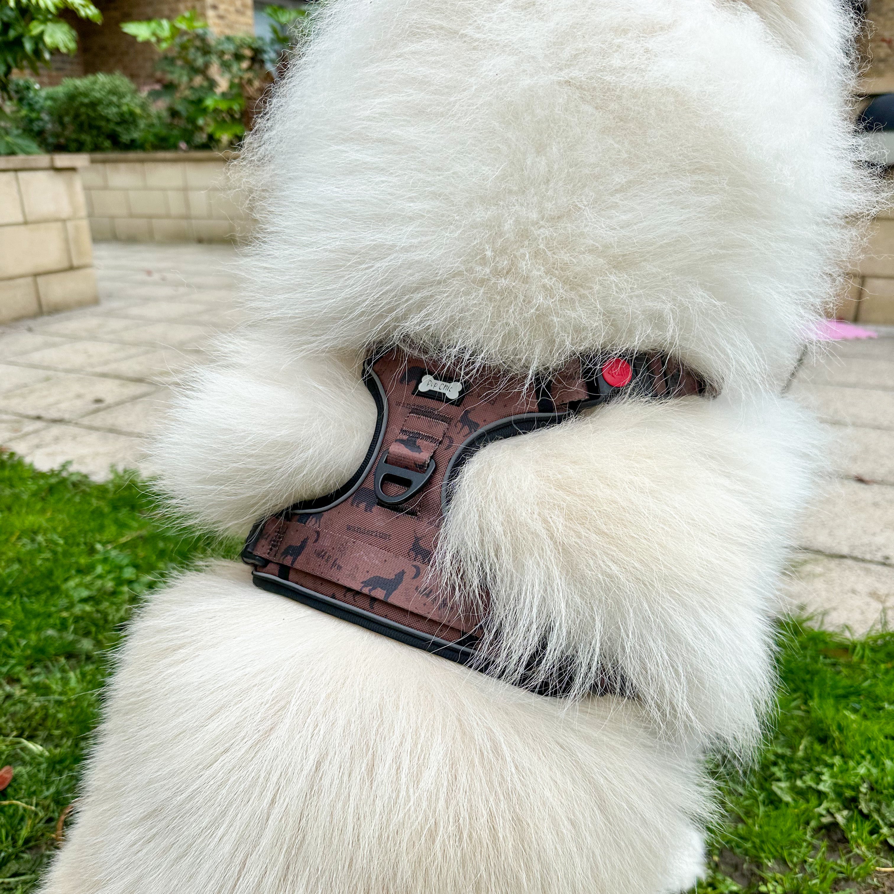 Wanderlust Tuff Stuff harness - old style - no pull harness with handle - Pup Chic Boutique