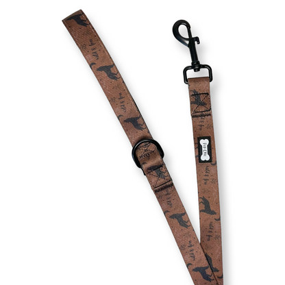 Wanderlust 4ft dog lead - Pup Chic Boutique