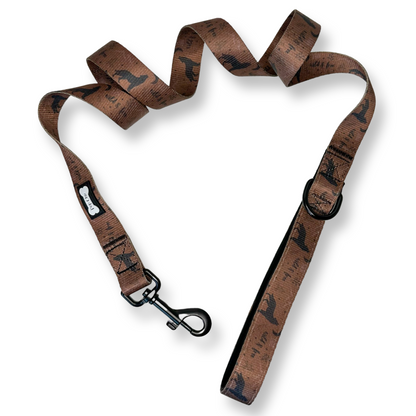 Wanderlust 4ft dog lead - Pup Chic Boutique