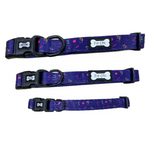 Zodiac Zoomies Collar - navy zodiac signs dog collar