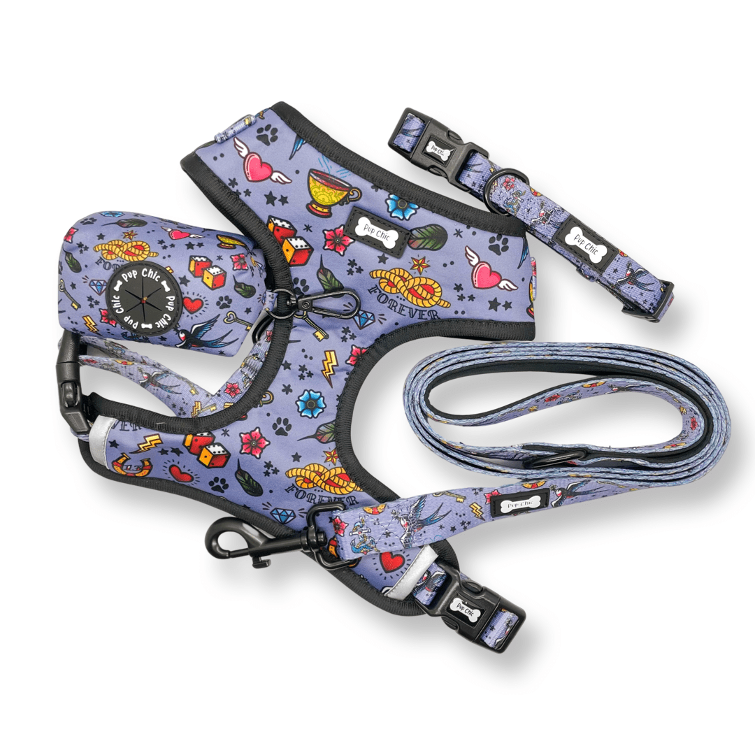Artful Dogster Collar - Pup Chic Boutique