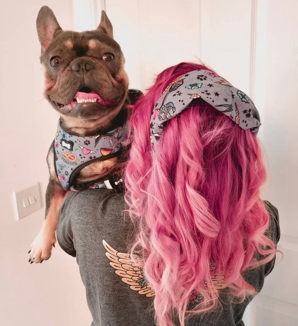 Artful Dogster morf - face covering and headband - Pup Chic Boutique