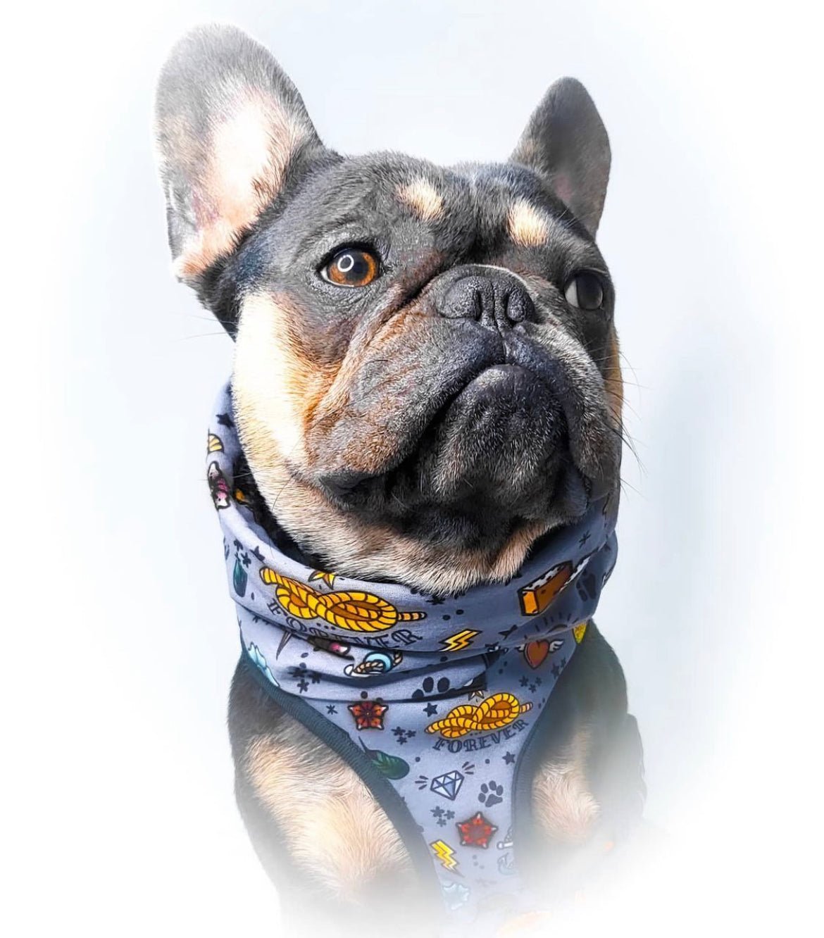 Artful Dogster morf - face covering and headband - Pup Chic Boutique