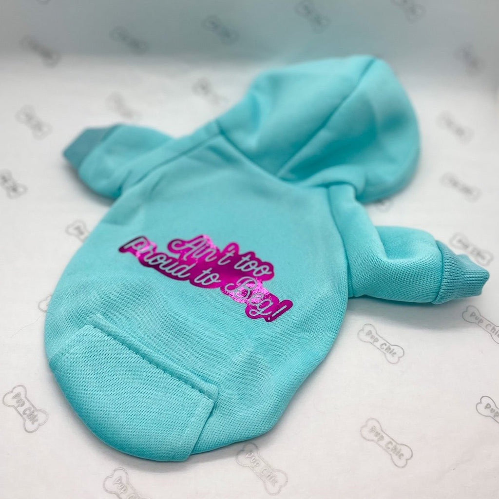 Custom dog hoodie - Aqua - personalised dog hoodie - Pup Chic Boutique