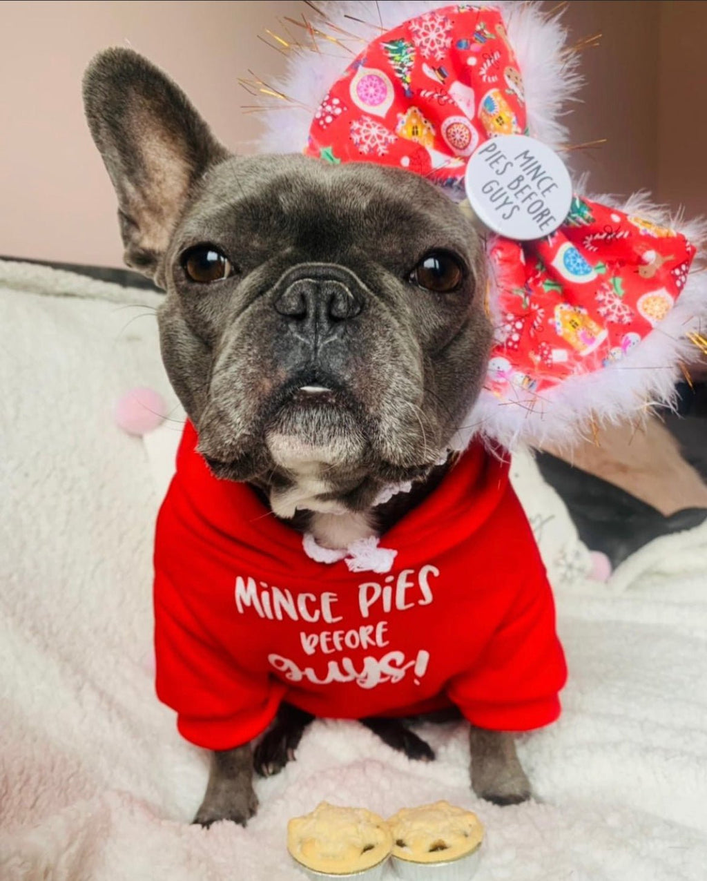 Custom dog hoodie - personalised dog hoodie - Pup Chic Boutique