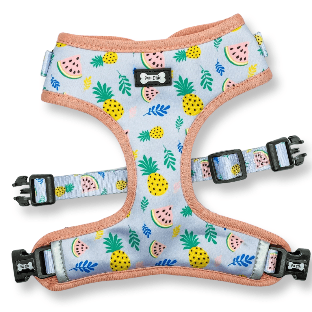 Cutie Fruity Adjustable Dog Harness – Final Clearance (Only Size XL Left!) - Pup Chic Boutique
