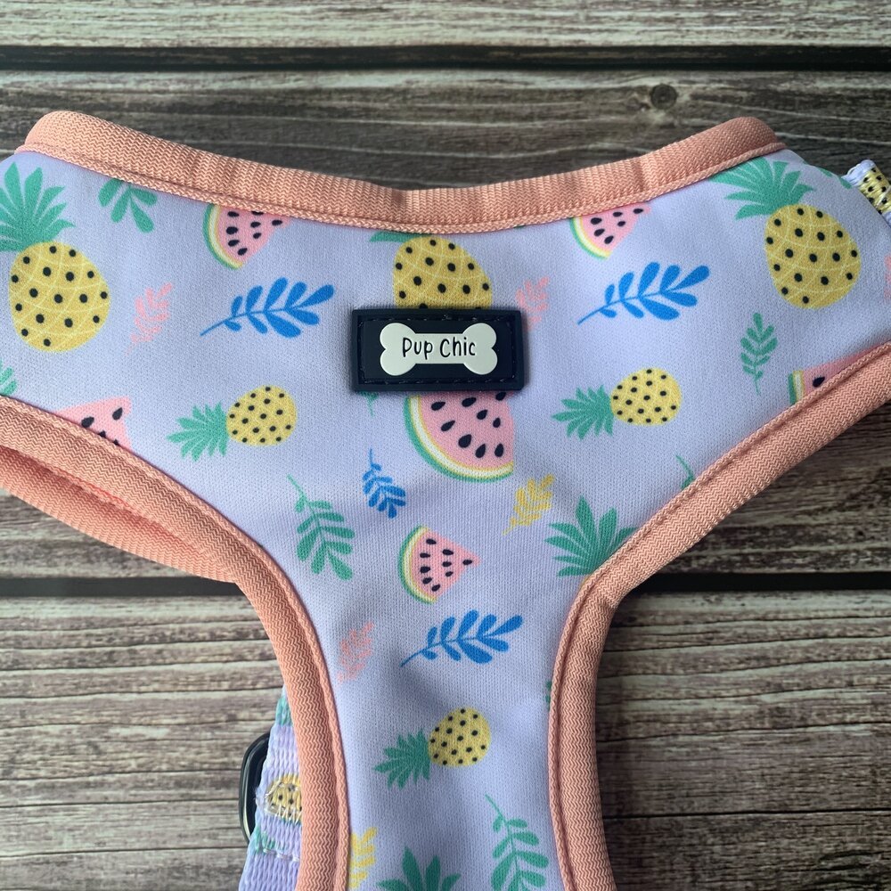 Cutie Fruity Adjustable Dog Harness – Final Clearance (Only Size XL Left!) - Pup Chic Boutique