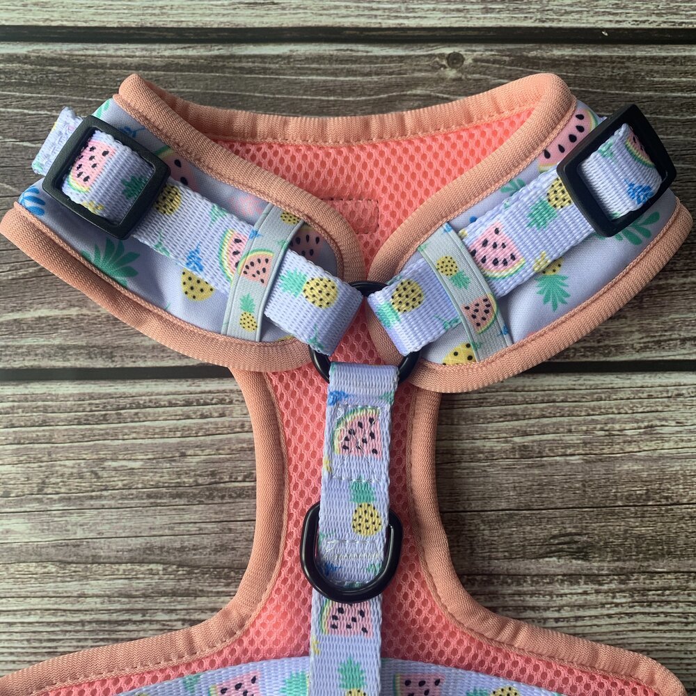 Cutie Fruity Adjustable Dog Harness – Final Clearance (Only Size XL Left!) - Pup Chic Boutique