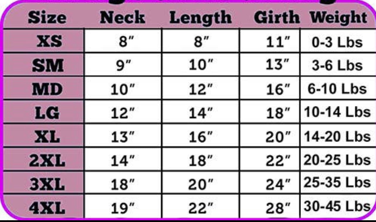 Dog personalised t-shirt dress - Pup Chic Boutique