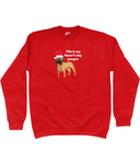boxer's day christmas jumper