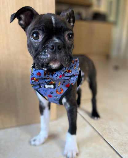 Artful Dogster Bow Tie - Pup Chic Boutique