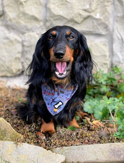 Artful Dogster Cooling Bandana - Pup Chic Boutique