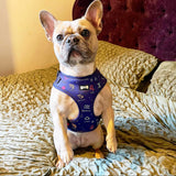 Zodiac Zoomies Adjustable Harness - navy zodiac signs dog harness