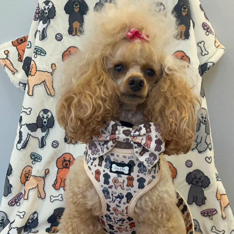Oodles of Poodles Collar - Pup Chic Boutique