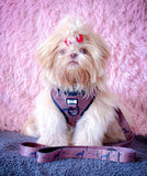 Wanderlust adjustable step-in harness - wolf autumn dog harness