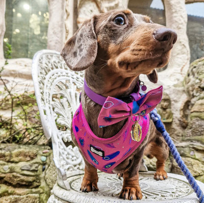 Peacock Power Adjustable Dog Harness - hot pink peacock feather dog harness - Pup Chic Boutique