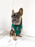 Emerald City teddy fleece adjustable harness - green fleece dog harness