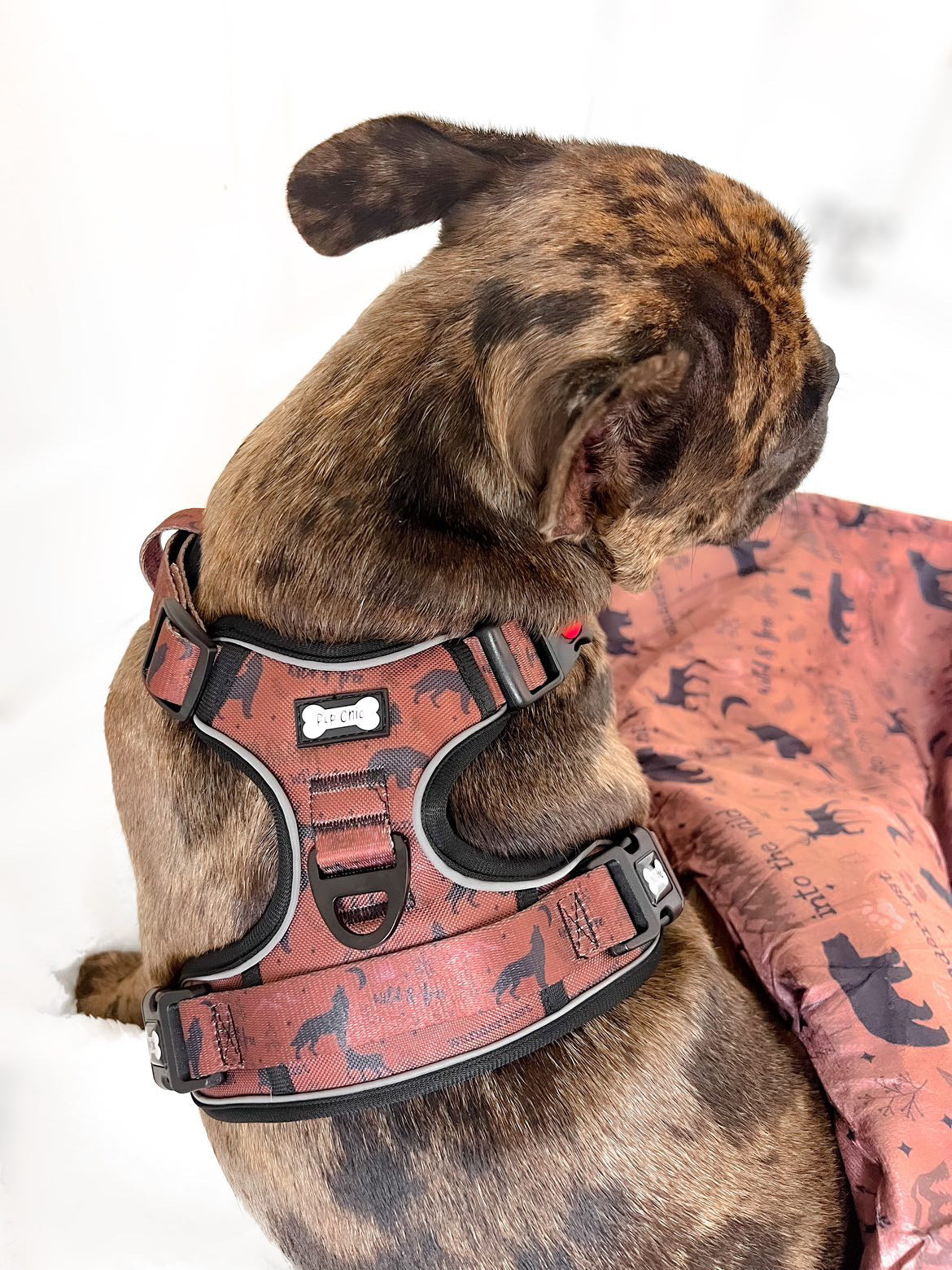 Wanderlust Tuff Stuff harness - old style - no pull harness with handle - Pup Chic Boutique