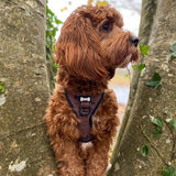 Wanderlust adjustable step-in harness - wolf autumn dog harness