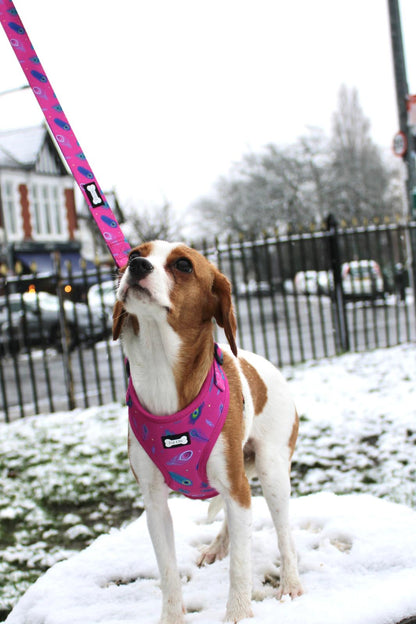 Peacock Power Adjustable Dog Harness - hot pink peacock feather dog harness - Pup Chic Boutique