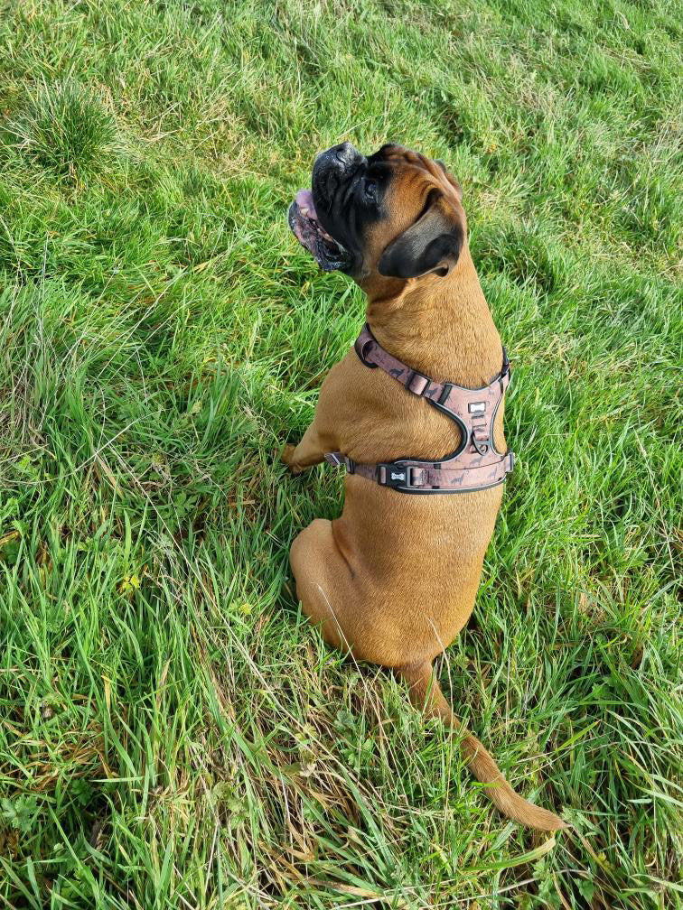 Wanderlust Tuff Stuff harness - old style - no pull harness with handle - Pup Chic Boutique
