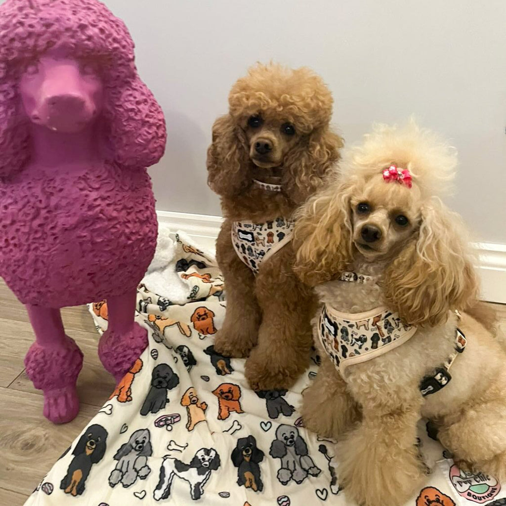 Oodles of Poodles Collar - Pup Chic Boutique