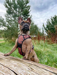 Wanderlust Tuff Stuff harness - no pull harness with handle