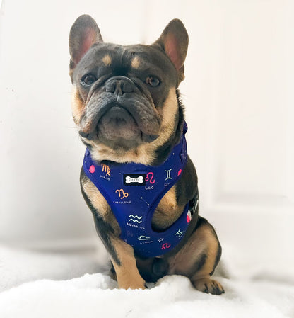 Zodiac Zoomies Adjustable Harness - navy zodiac signs dog harness - Pup Chic Boutique