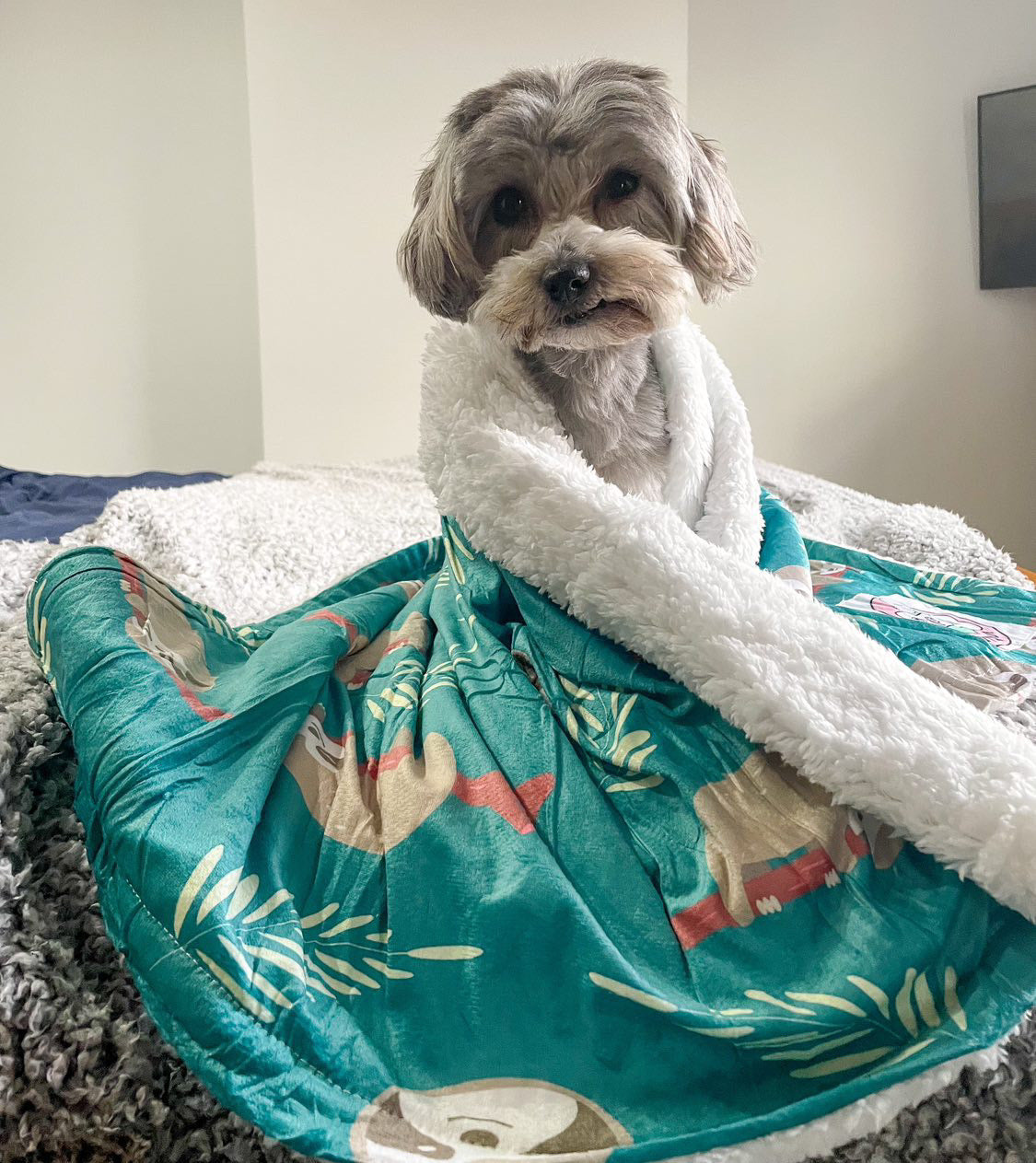 Lazy Sloth blanket - fleece dog blanket