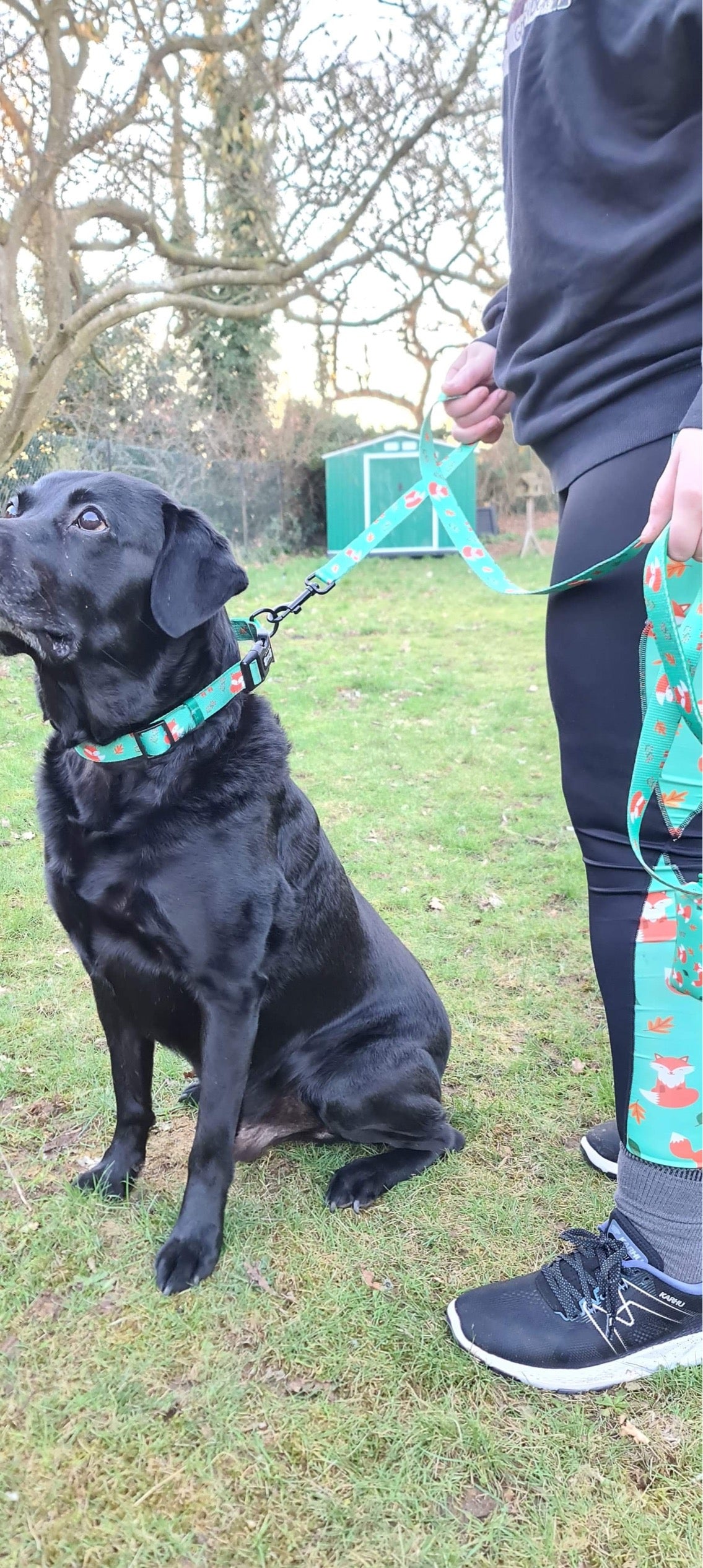 Inquisitive Fox matching leggings - Pup Chic Boutique