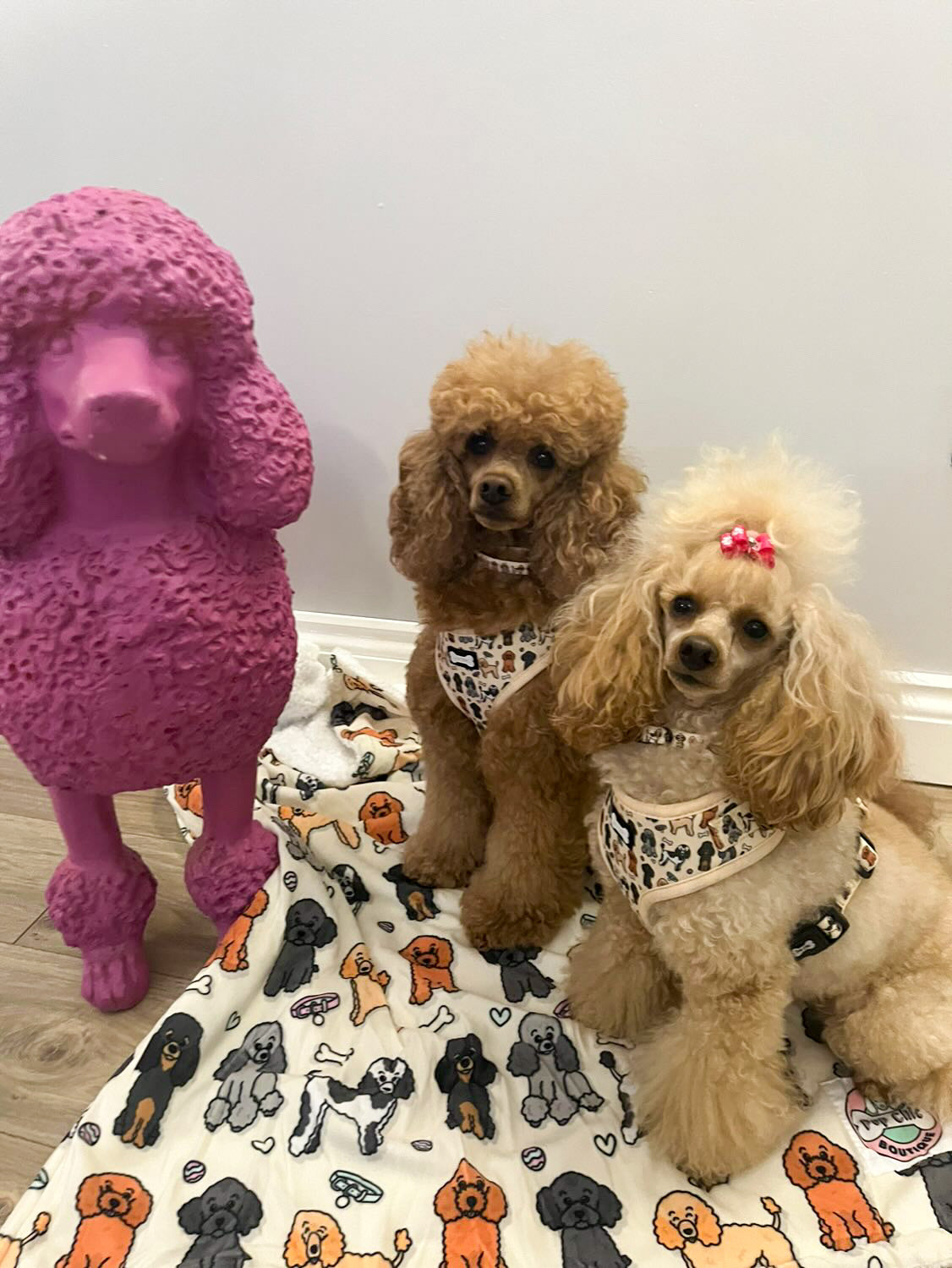 Oodles of Poodles blanket - fleece dog blanket