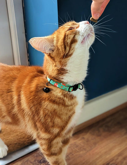 Inquisitive Fox Cat Collar - Pup Chic Boutique