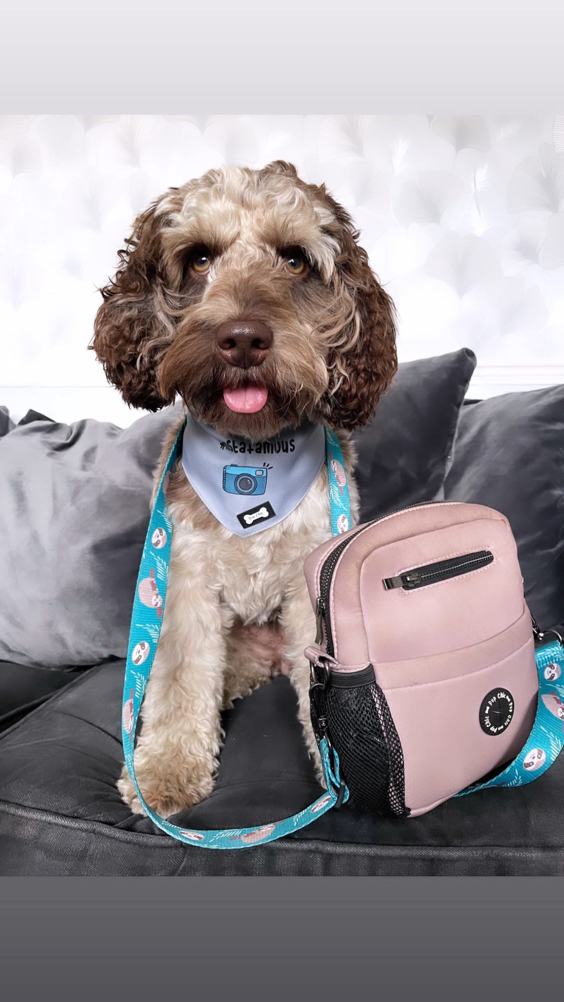 Beige Pooch Pouch - cute dog walking bag