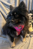 Peacock Power Adjustable Harness - hot pink peacock feather dog harness