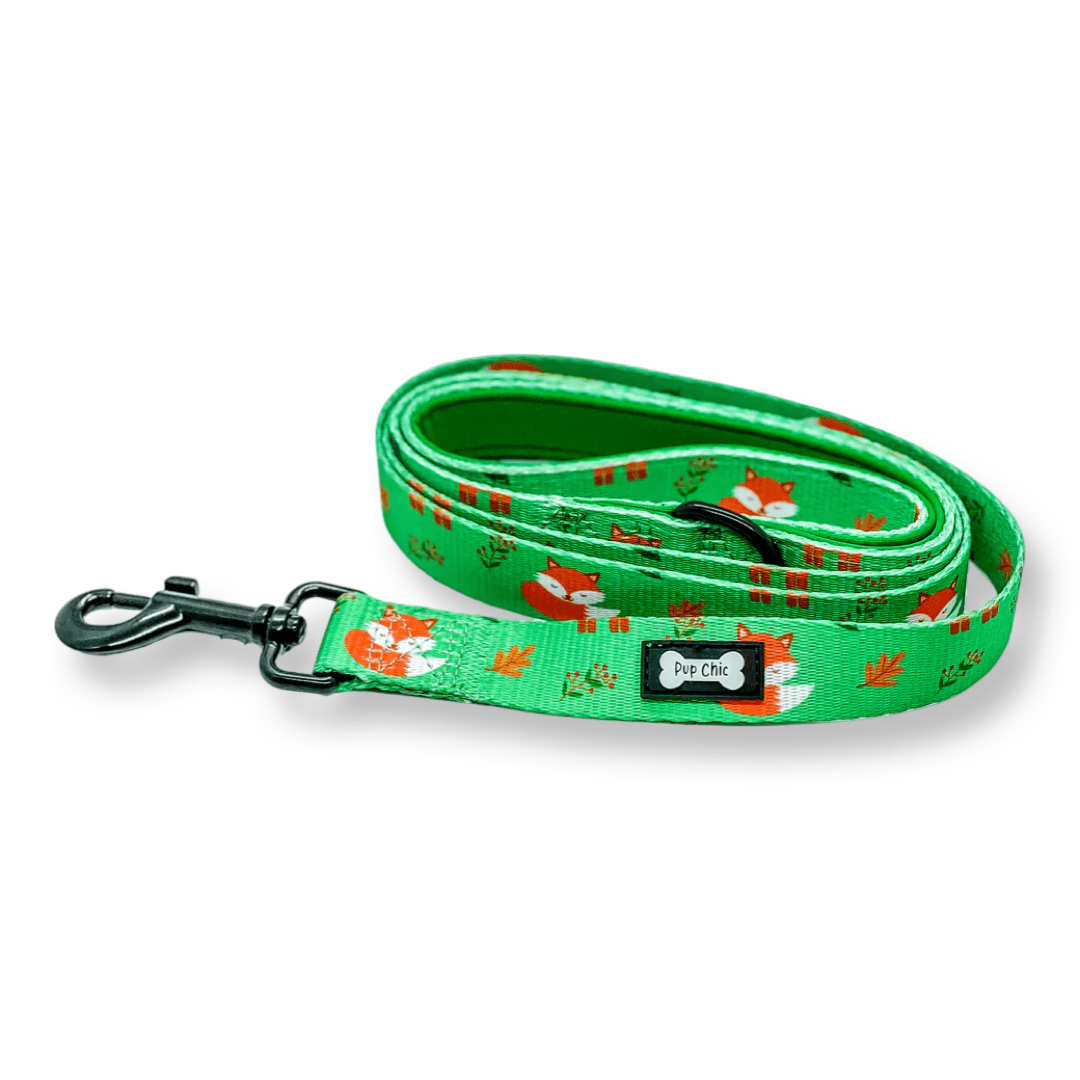 Inquisitive Fox 5ft Dog Lead - Pup Chic Boutique