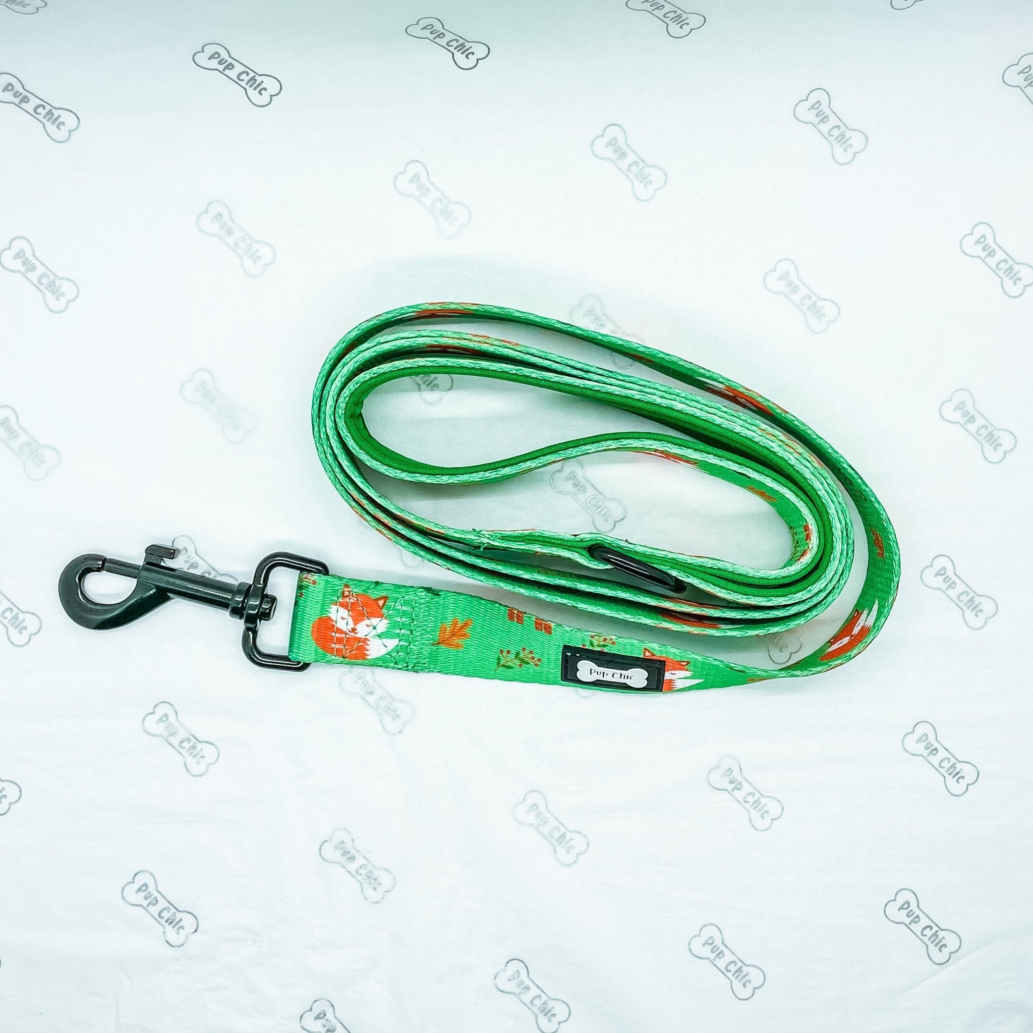 Inquisitive Fox 5ft Dog Lead - Pup Chic Boutique